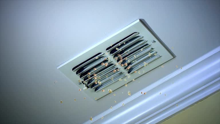 Best Residential Air Duct Cleaning  in Breckinridge Center, KY