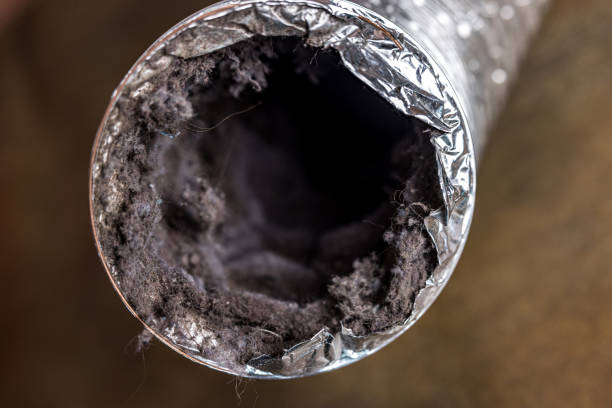 Best Dryer Vent Cleaning Services  in Breckinridge Center, KY